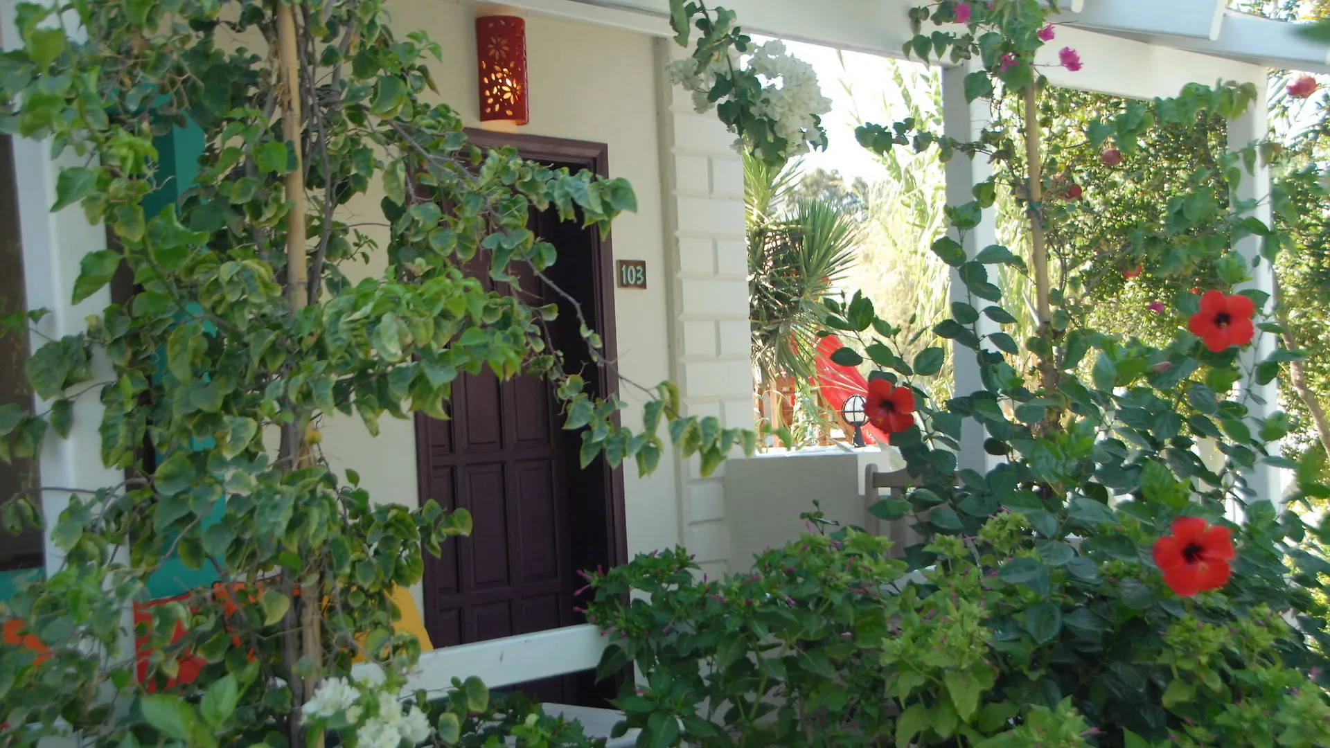 Hotel Kefi Beach And Suites Ortakent